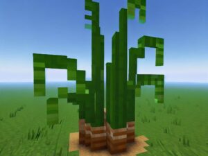 Jak znaleźć trzcine cukrową w Minecraft
